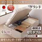 ベッド セミダブル 収納 ベット 大容量 薄型スタンダードポケットコイル 横開き 深さグランド お客様組立 跳ね上げ