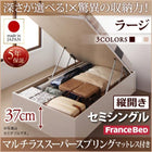 ベッド フランスベッド マルチラススーパースプリングマットレス付き 縦開き セミシングル 深さラージ お客様組立 跳ね上げ 収納