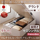 ベッド フランスベッド マルチラススーパースプリングマットレス付き 縦開き セミシングル 深さグランド お客様組立 跳ね上げ 収納