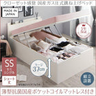 ベッド セミシングル ガス圧 跳ね上げ ショート丈 深さラージ 組立設置付 薄型抗菌国産ポケットコイル 縦開き