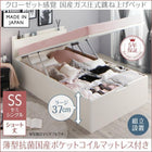 ベッド セミシングル ガス圧 跳ね上げ ショート丈 深さラージ 組立設置付 薄型抗菌国産ポケットコイル 縦開き