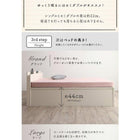 跳ね上げベッド セミシングル フランスベッド マルチラススーパースプリングマットレス付き 縦開き レギュラー丈 深さグランド