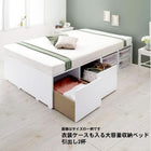 収納ベッド セミダブル 衣装ケースも入る大容量 薄型スタンダードボンネルコイルマットレス付き 引出し2杯