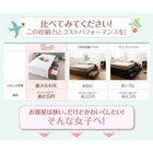収納ベッド シングル 衣装ケースも入る大容量 薄型スタンダードポケットコイルマットレス付き 引き出しなし