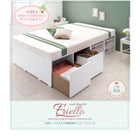 収納ベッド セミダブル 衣装ケースも入る大容量 薄型スタンダードポケットコイルマットレス付き 引き出しなし
