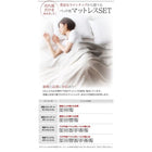 収納ベッド セミダブル 衣装ケースも入る大容量 薄型プレミアムボンネルコイルマットレス付き 引き出しなし