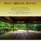 国産デザインい草ラグ 不織布なし 191×250cm 自然素材ラグ 掛川織