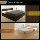 ベッドフレームのみ ベッド 跳ね上げ 収納 縦開き クイーン SS×2 棚 照明・ 組立設置付