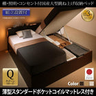 ベッド ガス圧 跳ね上げ 収納 クイーン SS×2 薄型スタンダードポケットコイル 縦開き 組立設置付