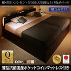 ガス圧 跳ね上げ ベッド 収納 クイーン SS×2 薄型抗菌ポケットコイル 縦開き 組立設置付