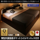 ガス圧 跳ね上げ ベッド 収納 クイーン SS×2 薄型抗菌ポケットコイル 縦開き 組立設置付