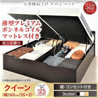 ベッド ガス圧 跳ね上げすのこ クイーン SS×2 薄型プレミアムボンネルコイル 縦開き レギュラー 組立設置付