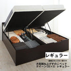 跳ね上げベッド クイーン SS×2 レギュラー フランスベッド マルチラススーパースプリングマットレス付 収納付きベッド 深型 連結 クイーン 縦開