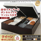 ベッド ガス圧 跳ね上げすのこ クイーン SS×2 薄型スタンダードボンネルコイル 縦開き レギュラー 組立設置付