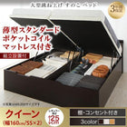 ガス圧 跳ね上げすのこベッド クイーン SS×2 薄型スタンダードポケットコイル 縦開き レギュラー 組立設置付