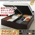 ガス圧 跳ね上げすのこベッド クイーン SS×2 薄型スタンダードポケットコイル 縦開き ラージ 組立設置付