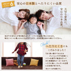 こたつ クッションラグ 専用別売品 ラグカバー 大 250×174 カバーが洗える マイクロファイバー