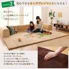 こたつ クッションラグ 専用別売品 ラグカバー 大 250×174 カバーが洗える マイクロファイバー