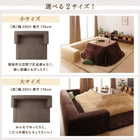 こたつ クッションラグ 専用別売品 ラグカバー 大 250×174 カバーが洗える マイクロファイバー