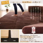 こたつ クッションラグ 専用別売品 ラグカバー 大 250×174 カバーが洗える マイクロファイバー