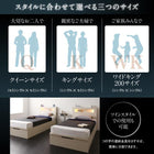 ベッド 収納 大型 クイーン(SS×2) 跳ね上げ 薄型プレミアムボンネルコイル 縦開き 深さグランド 組立設置付 ライト付