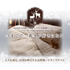 ボックスシーツ単品 パッド一体型 吸湿発熱わた入り シングル 北欧モダン