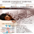 毛布&パッド シングル 掛敷セット 枕カバー付) 薄掛+ボックスタイプ 北欧モダン