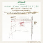 ベッドフレームのみ ロフトベッド ロータイプ ハイタイプにも シングル コンパクト ショート丈