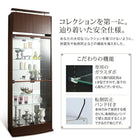 コレクション収納 専用別売品 LEDモジュール 背面ミラー付き 壁面