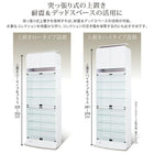 コレクション収納 専用別売品 LEDモジュール 背面ミラー付き 壁面