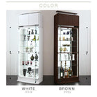 コレクション収納 専用別売品 LEDモジュール 背面ミラー付き 壁面