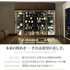 コレクション収納 専用別売品 LEDモジュール 背面ミラー付き 壁面