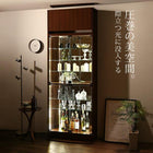 コレクション収納 専用別売品 LEDモジュール 背面ミラー付き 壁面