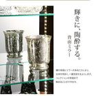 コレクション収納 専用別売品 LEDモジュール 背面ミラー付き 壁面