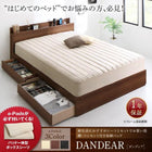 ダブルベッド フランスベッドマルチラススーパースプリング 収納ベッド