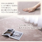 プレミアムファイバー ラグ 洗える5mm厚ウレタン入りタイプ 190×240cm