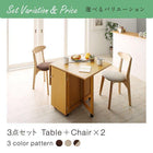 伸縮ダイニングテーブル単品 W40-100 収納庫付き 両側バタフライ天板 コンパクト