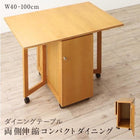 伸縮ダイニングテーブル単品 W40-100 収納庫付き 両側バタフライ天板 コンパクト