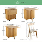 伸縮ダイニングテーブル単品 W40-100 収納庫付き 両側バタフライ天板 コンパクト