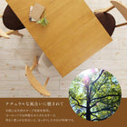 伸縮ダイニングテーブル単品 W40-100 収納庫付き 両側バタフライ天板 コンパクト