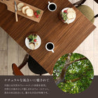 ダイニングチェア 1脚