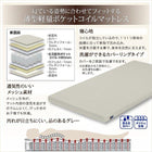 二段ベッド 2段ベッド 薄型軽量ボンネルコイル シングル