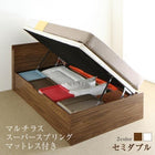 フランスベッド マルチラススーパースプリングマットレス付き 横開き 深さラージ すのこ お客様組立 ベッド セミダブル 跳ね上げ