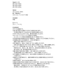 ラグ レザー調洗えるヴィンテージキルトラグ 190×240cm