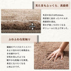 ラグ 50×80cm洗える ミックスカラー シャギー