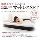 ベッドフレームのみ セミダブルベッド ローベッド