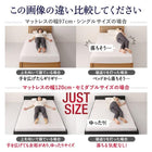 ベッド セミダブル ローベッド プレミアムボンネルコイル