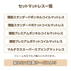 チェストベッド フランスベッド マルチラススーパースプリング セミシングル レギュラー丈