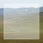 ラグ 133×190cm トルコ製 ウィルトン織