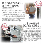 ゾーンコイルマットレス 抗菌防臭 防ダニ 高反発 硬め バランスタイプ zone-coil シングル